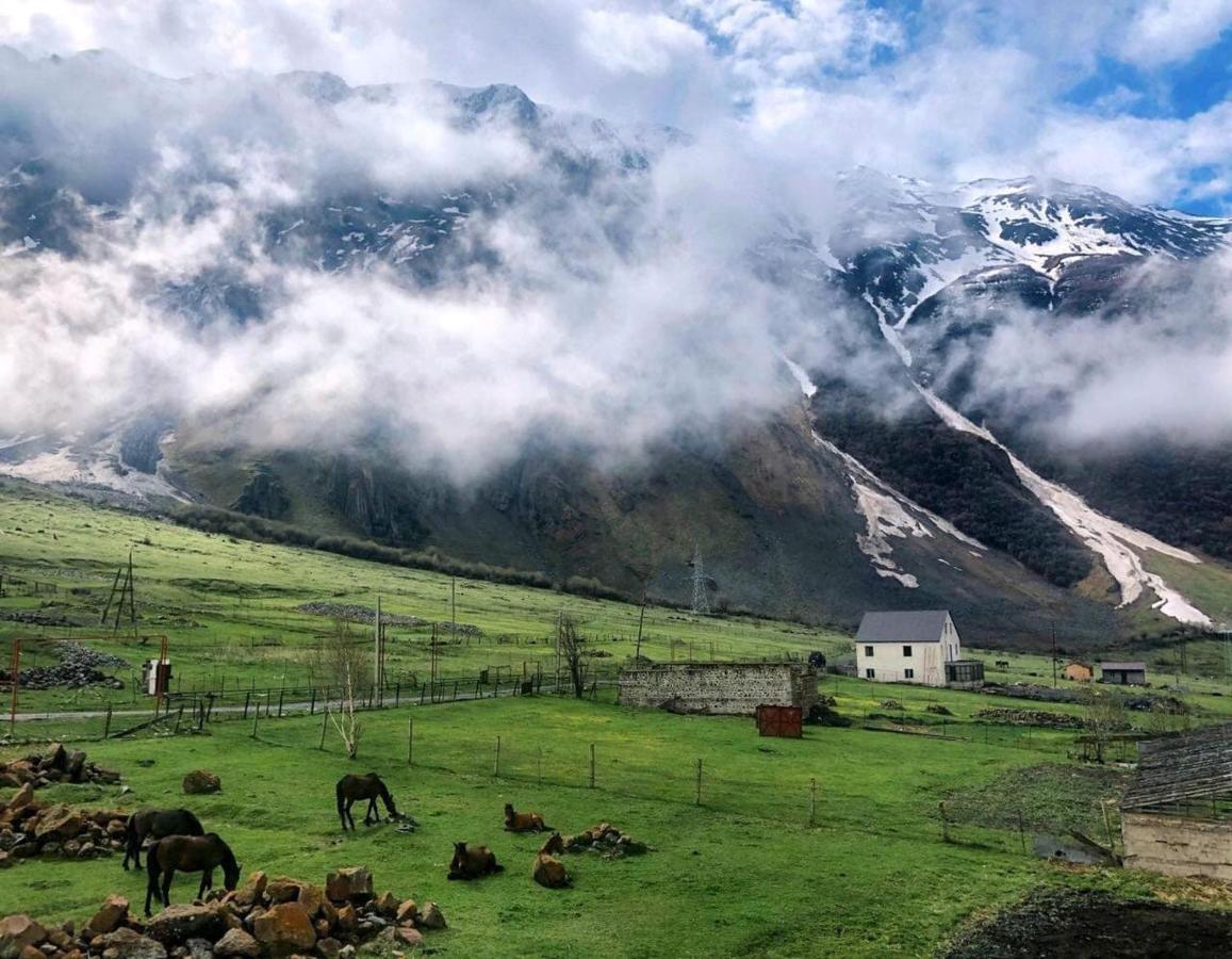 Arte In Kazbegi Hotel ภายนอก รูปภาพ